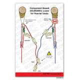 Technical Rescue Riggers Guide - Fourth Edition - load management and rope work