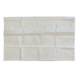 BugX® Towelette