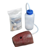 Dark Tone TrueClot® Wound Packing Task Trainer (Gun shot wound)