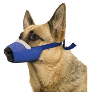 Cozy Quick X-Large Muzzle, on dog
