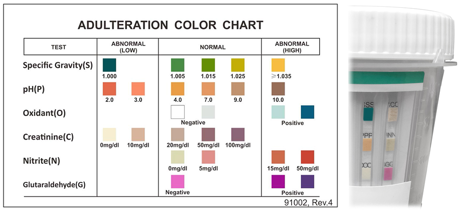 identify-health-adulterations-card-training-2020.jpg