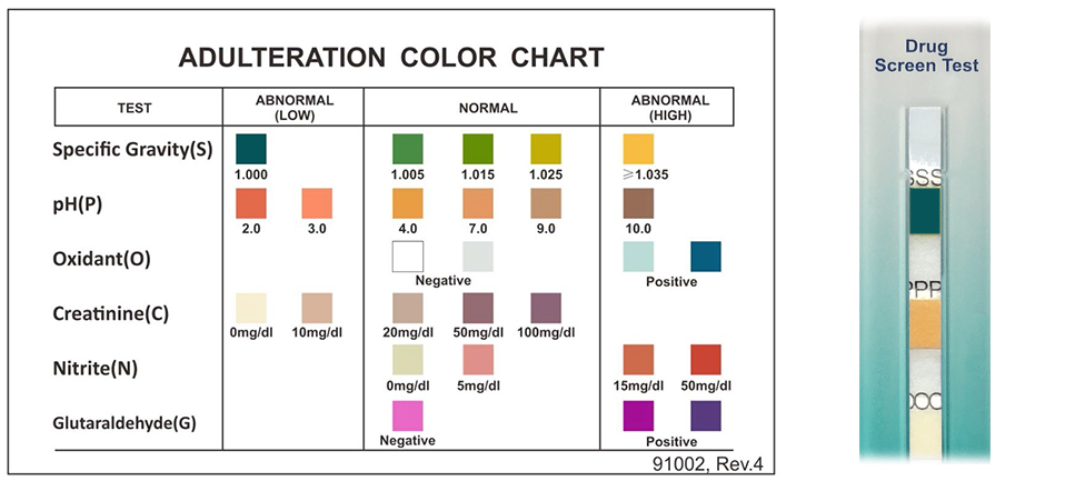 color chart for urine dip