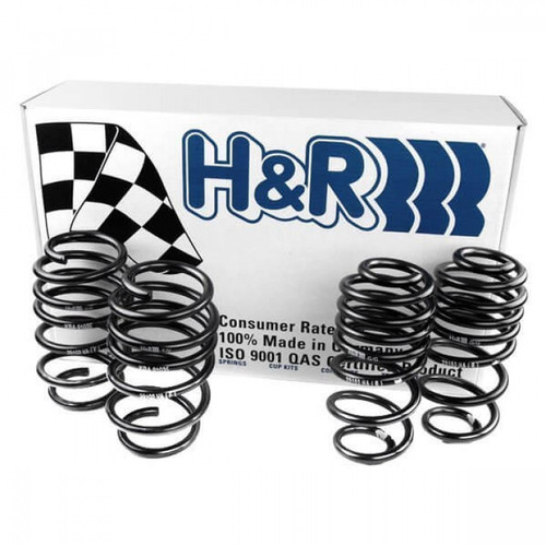 100点セット AUDI TT RS 8S Sport Springs 28728-1 H&R 28728-1 AUDI TT RS FV Sport