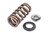 APR Valve Spring Kit for 2005+ Audi/VW, Bentley, Lamborghini and Porsche