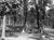 Detroit Memories Volume II: A Pictorial History of the Early Years through the 1940s