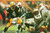 Legendary: The Unforgettable Career of Brett Favre
