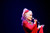 Dolly: A Life of Many Colors