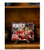 PERFECT! Indiana’s Historic Rise to the Big Ten Championship - Hardcover Book
