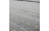 Frost Protection Fleece 100m Roll - Optional Widths (17g) 