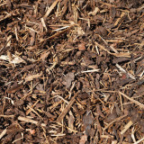  Melcourt Spruce Ornamental™ 60L 