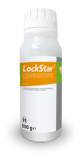 LockStar 500g