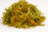 Fresh Moss 