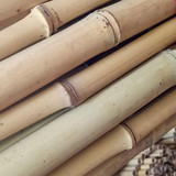  Bamboo Canes 