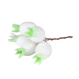  Christmas Frosted White Rosehips x 5 Bunches (20 Wires) 