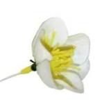  Wreath Flowers Mini Christmas Rose White (Carton 144) 