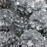  Silver Pine Cones 1 kg 