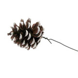  White Tipped Pine Cones On A Wire 12 cm (Pack 150) 
