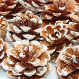  Frosted Pine Cones 1 kg 
