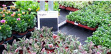  CapiMAT Floraplus 3 Layer Capillary Matting 