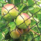  Tildenet Standard PN3 Bird Netting 