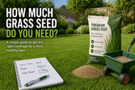 How Much Grass Seed Do You Need?