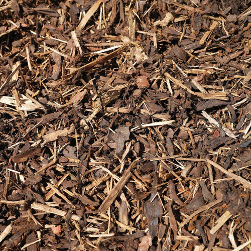  Melcourt Spruce Ornamental™ 60L 