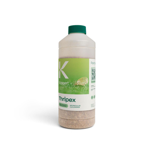  Koppert Thripex-V (Predatory Mite for Thrips Control) 