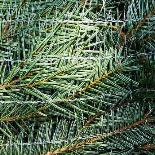  Biodegradeable Christmas Tree Netting 45cm (400m Sleeve) 
