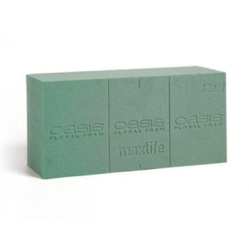  Oasis Wet Block (x 20) 