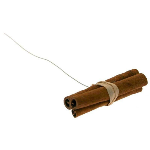  Dried Cinnamon Sticks On Wire (Pack of 20) 