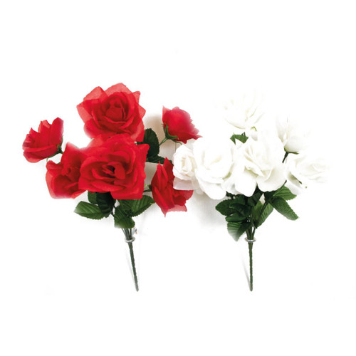  Garden Rose Bush 