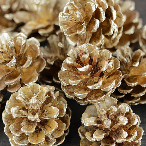  Gold Pine Cones 1 kg 