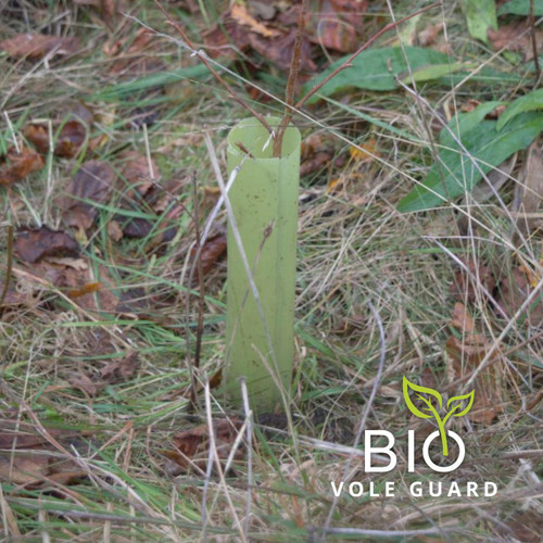  Vole Guard Tube 100% Bio Based 