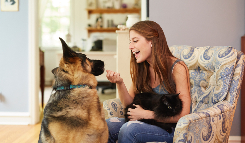 Owner feeding pet