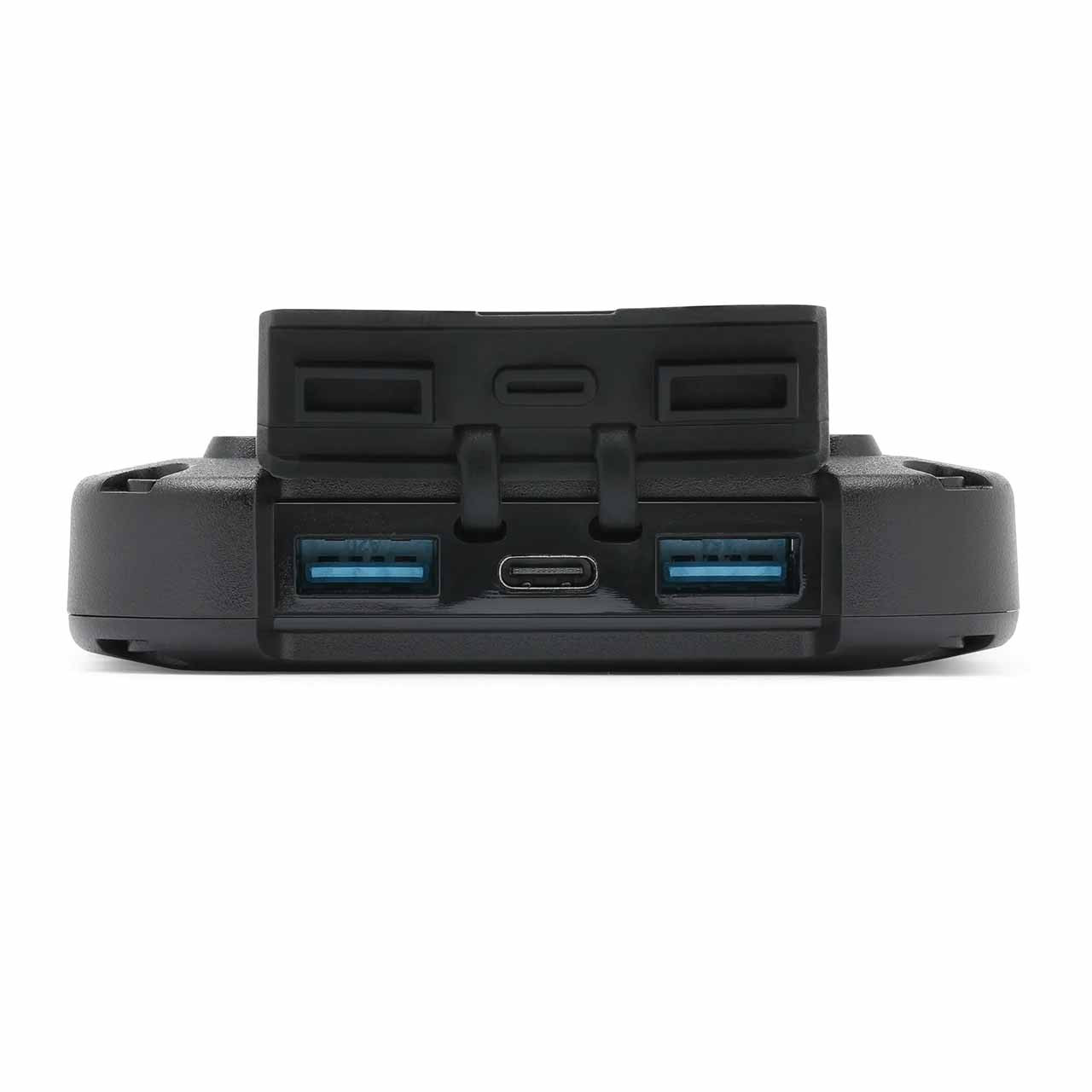 Lion Energy Lion Cub Power Bank