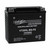 Voltz VT20HL-BS-FS V-Twin Series Group 20HL AGM Motorcycle Battery that Replaces YTX20HL-BS Powersport Batteries