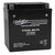 Voltz VTX30L-BS-FS Group 30L AGM Motorcycle Battery that Replaces YTX30L-BS Powersport Batteries