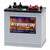 Deka 8AGC2 AGM GC2 Deep Cycle Battery Replaces GC2-ECL-UTL 6V AGM Batteries
