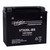 Voltz VTX20L-BS Group 20L AGM Motorcycle Battery that Replaces YTX20L-BS Powersport Battery