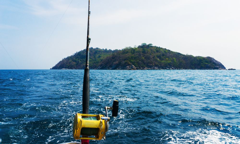 What Kind of Battery Do You Need for Your Trolling Motor? GMI Energy