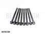 Head Bolt Set - Honda Beat PP1 Model - 1991-1996 Head Bolt Set - Honda Beat PP1 Model - 1991-1996