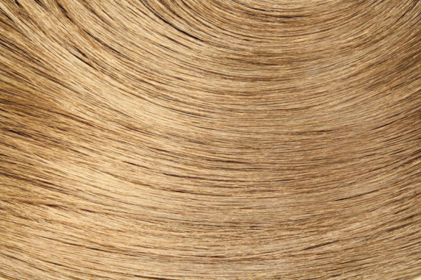 Coloration Végétale Eos 120gr  - Gingembre III