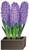 Articlings Flower Pot Window Sticker - Hyacinth in a brown box on a white background.