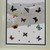 25 Realistic Butterflies & 17 Ladybird Window Non-Adhesive Clings by Articlings