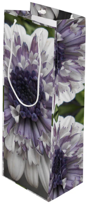 Original Photo by New York City, Fine Art Artist, Gaye Elise Beda, Wine Gift Bag, www.gayeelisebeda.store  Check it out. 