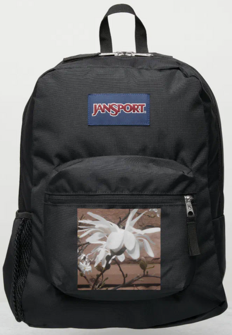 Original Photo by New York City, Fine Art Artist, Gaye Elise Beda, JanSport Backpacks, www.gayeelisebeda.store  Check it out.