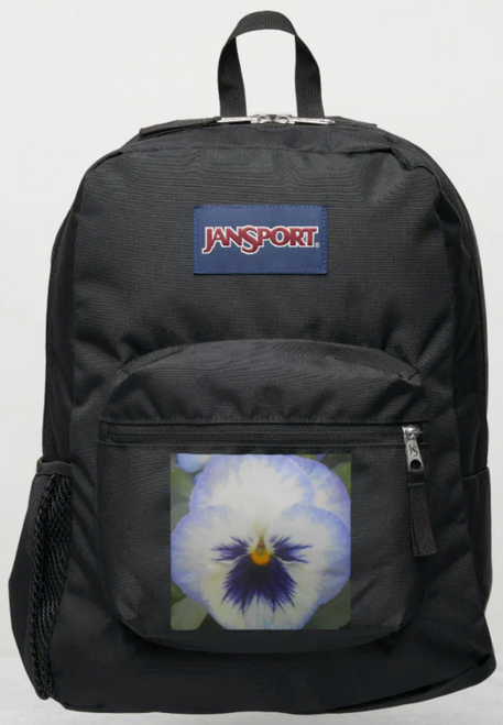 Original Photo by New York City, Fine Art Artist, Gaye Elise Beda, JanSport Backpacks, www.gayeelisebeda.store  Check it out.