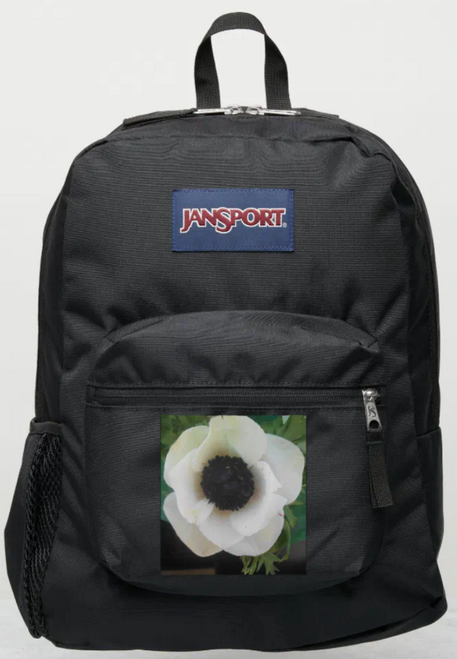 Original Photo by New York City, Fine Art Artist, Gaye Elise Beda, JanSport Backpacks, www.gayeelisebeda.store  Check it out. 
