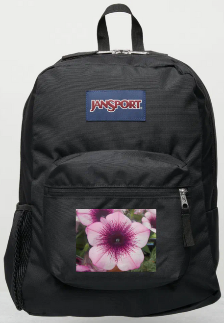 Original Photo by New York City, Fine Art Artist, Gaye Elise Beda, JanSport Backpacks, www.gayeelisebeda.store  Check it out. 