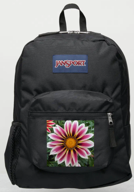 Original Photo by New York City, Fine Art Artist, Gaye Elise Beda, JanSport Backpacks, www.gayeelisebeda.store  Check it out. 
